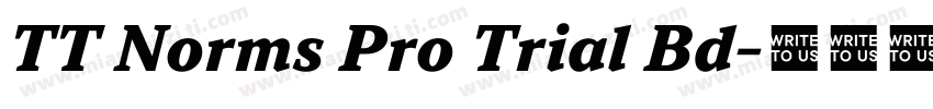 TT Norms Pro Trial Bd字体转换
